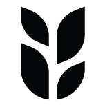 Grain